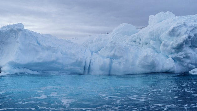 antarktis: eisberg der größe wiens abgebrochen