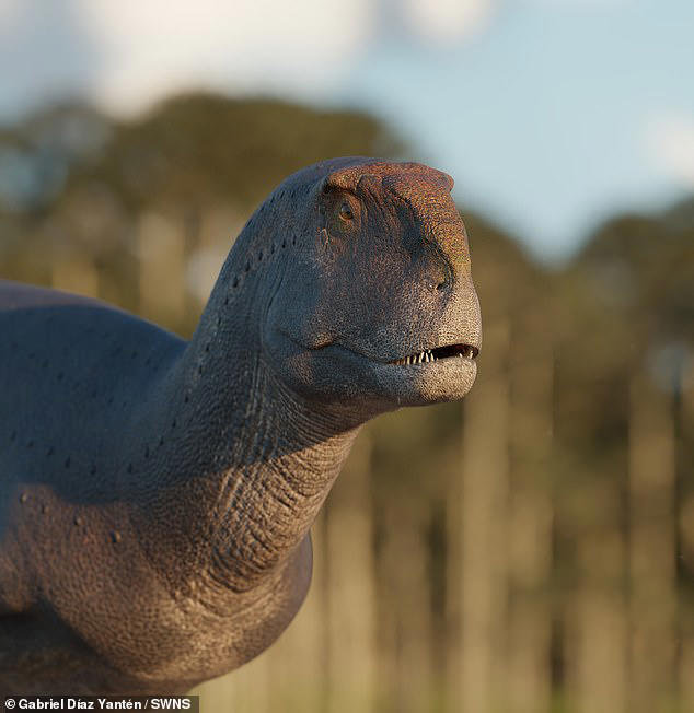 Move aside, T.Rex! Newly discovered dinosaur had even SMALLER arms