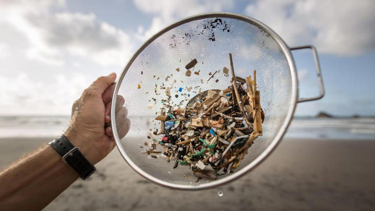Microplastics Have Been Found In Human Blood, Hearts, Testicles—Here's How They Got There