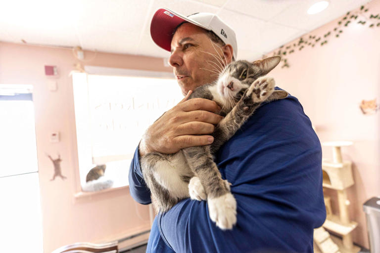 Timothy Phillips holds Tucker, just before his adoption, at Whiskers Cat Cafe on April 25, 2024.