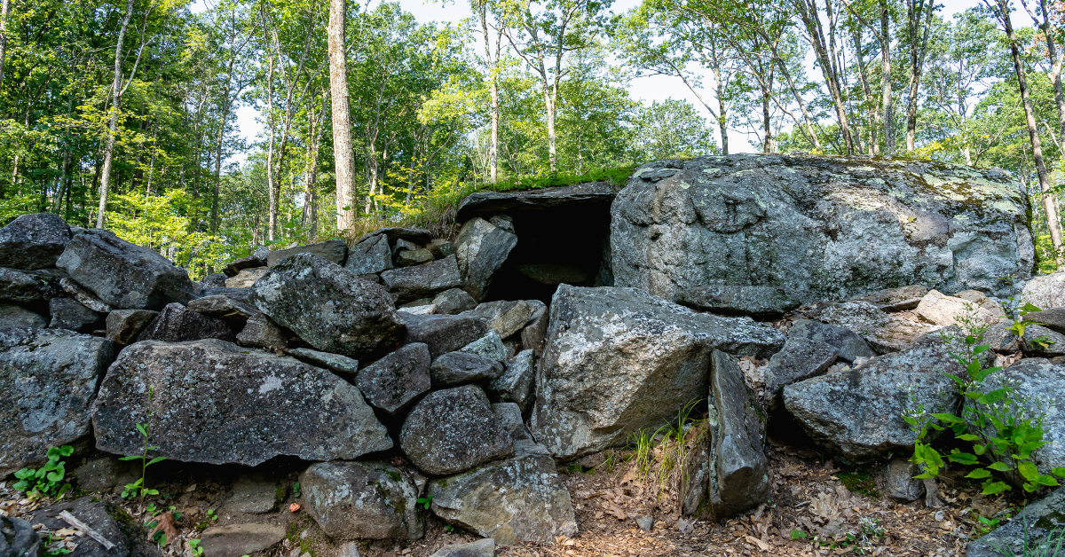 The Strangest Museum in Every State