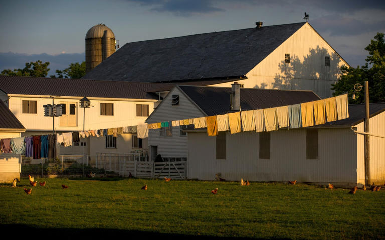 I went on a VIP tour of Pennsylvania’s Amish – tourists acted like it ...