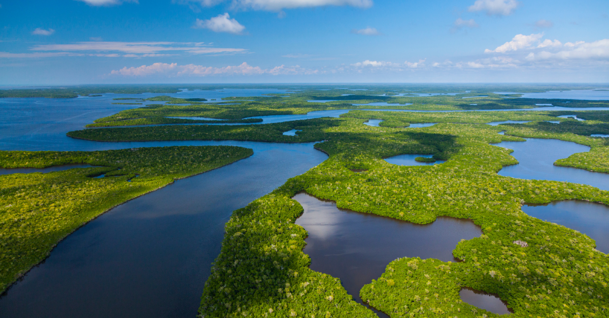 <p> The "river of grass" is a paradise for nature lovers, even off-peak in the summer. Explore this stunning UNESCO site by taking an airboat tour or kayaking (our favorite) through the mangroves at dawn. Keep an eye out for birds, turtles, and of course, alligators! </p> <p> Airbnb has plenty of affordable lodgings near the Everglades. </p>