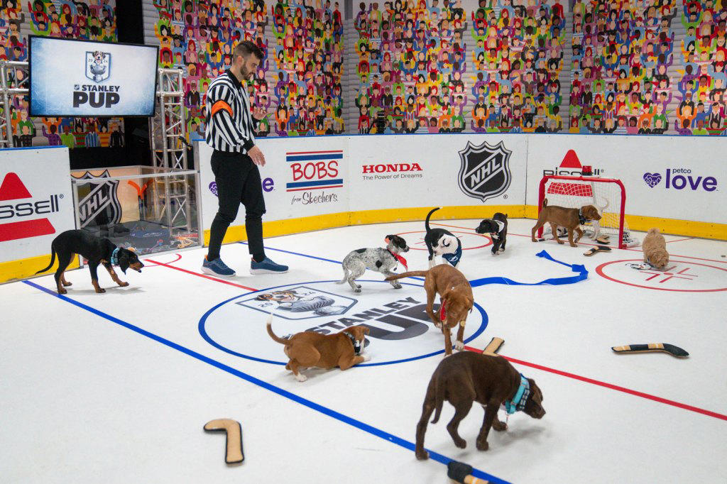 miranda lambert, mickey guyton & kristin chenoweth to appear on nhl ‘stanley pup' rescue dog competition