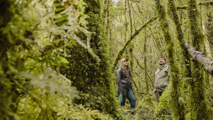 “invasores”: documental explora cómo 6 especies exóticas están poniendo en peligro naturaleza chilena