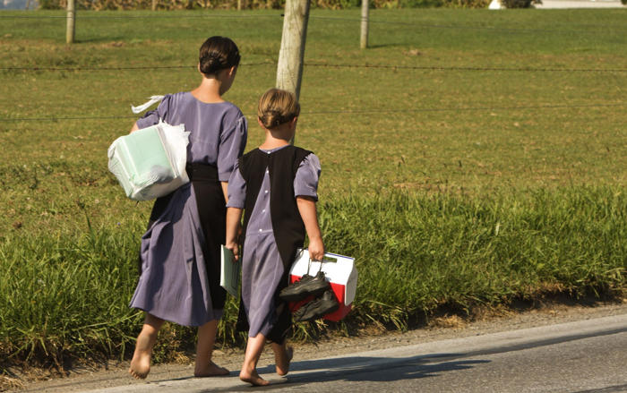 i went on a vip tour of pennsylvania’s amish – tourists acted like it was a safari