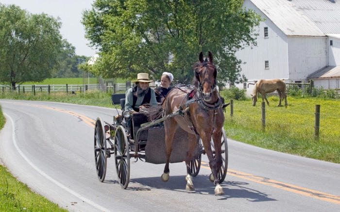 i went on a vip tour of pennsylvania’s amish – tourists acted like it was a safari
