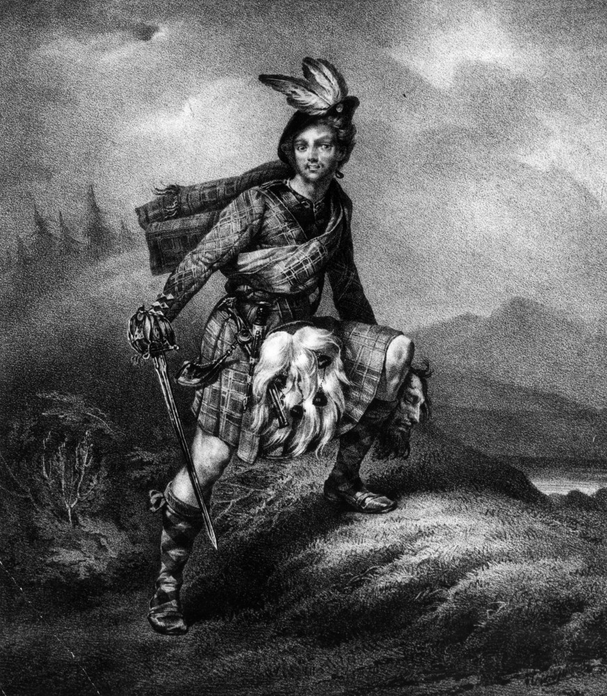 How to identify and treat these 18 garden pests