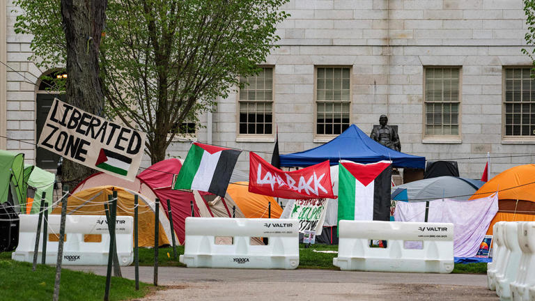 13 Harvard University students who participated in pro-Palestinian encampment will not get degrees