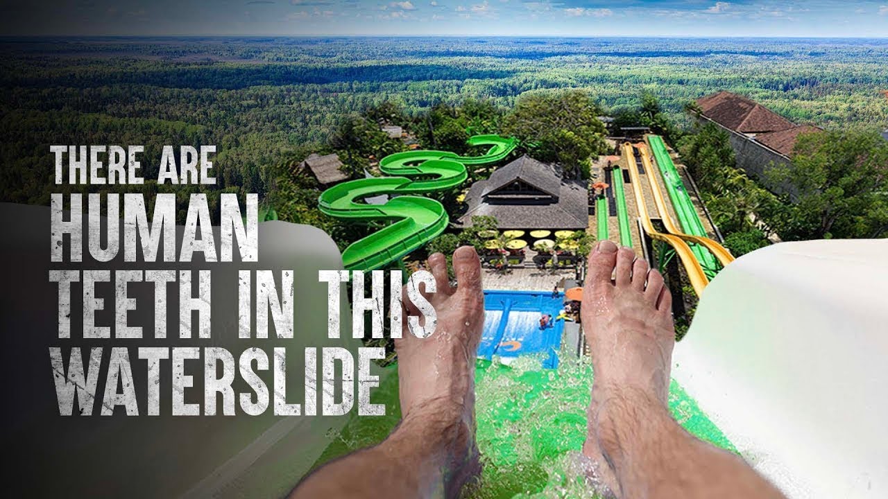 Deadliest Theme Park on Earth—How to Stay Alive