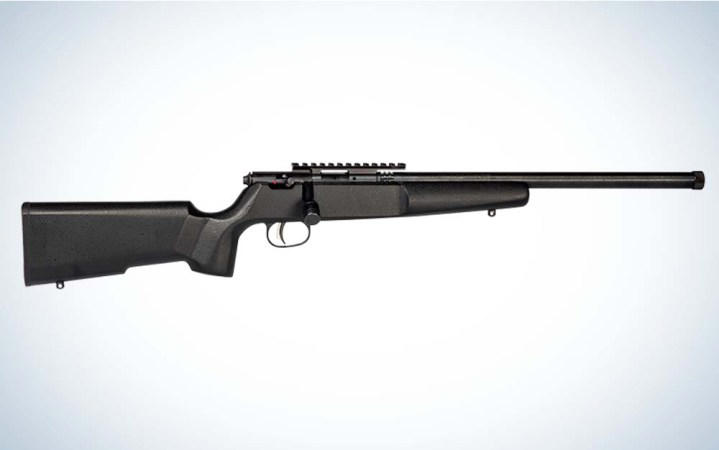 the best .22 lr rifles of 2024, tested and reviewed
