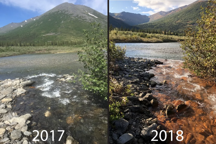 why some of alaska's rivers are turning orange