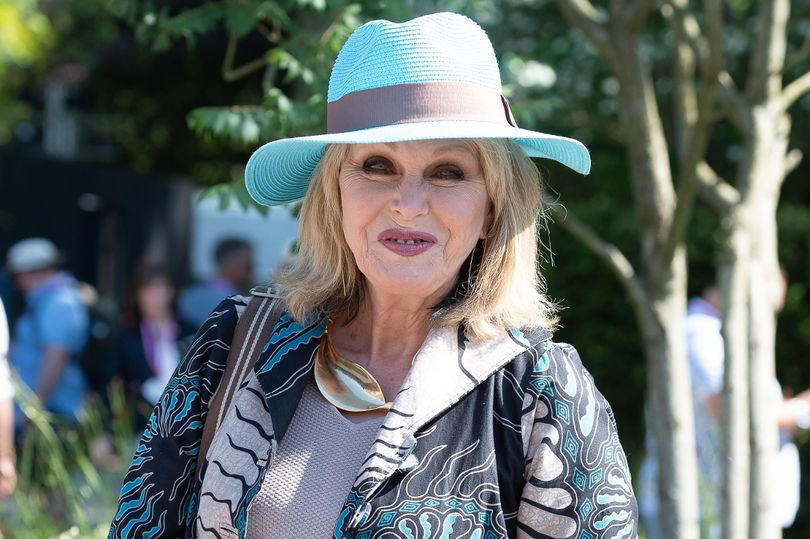 joanna lumley addresses whether she would consider representing uk at eurovision