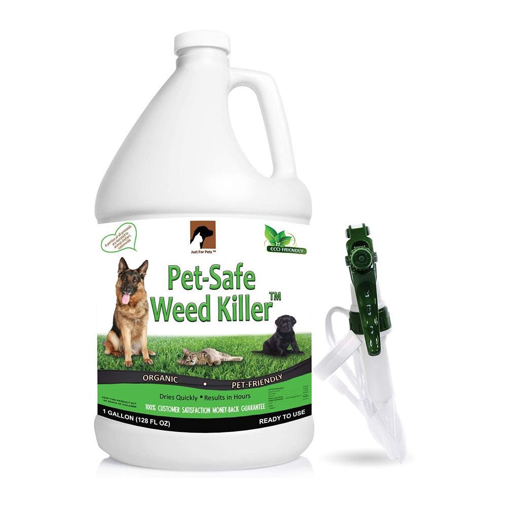 The 11 Best Weed Killers for Destroying Invasive Plants