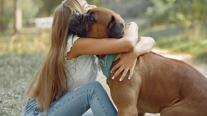 un nuevo estudio reafirma que a la mayoría de los perros no les gusta que los abracemos