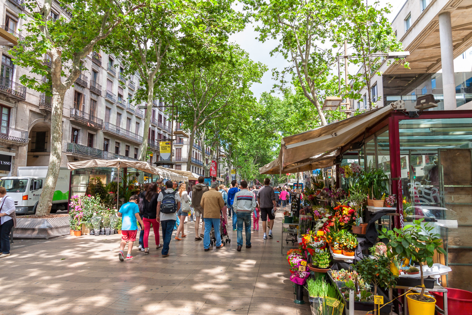 <p><span>Barcelona is notorious for pickpocketing, and Las Ramblas is infamous for its thefts, which often happen when victims </span><span>are watching</span><span> the street performers.</span></p><p>You may also like:<a href="https://www.starsinsider.com/n/334122?utm_source=msn.com&utm_medium=display&utm_campaign=referral_description&utm_content=717448en-us"> Bizarre medical facts you won’t believe are true</a></p>