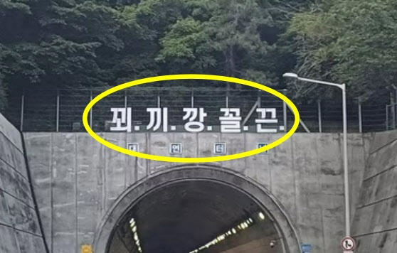‘꾀끼깡꼴끈’? 부산 터널 위 괴문자…시민들 