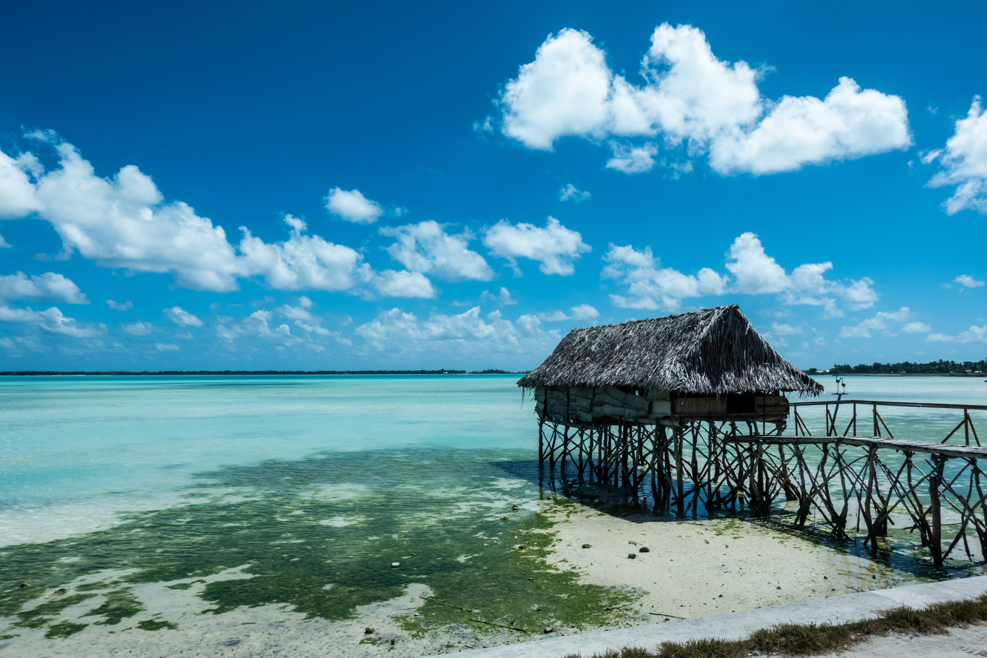<p>Despite its vast maritime area, Kiribati’s total land area is only about 313 sq miles (811 sq km), which makes it one of the smallest countries in the world.</p><p>You may also like:<a href="https://www.starsinsider.com/n/96907?utm_source=msn.com&utm_medium=display&utm_campaign=referral_description&utm_content=717375en-us"> How do photographers capture those priceless shots?</a></p>