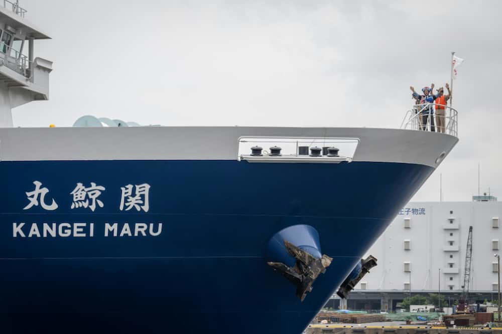 wifi, drones and sharp blades on japan's whaling mothership