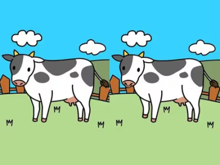 solo los mejores pastores superan el reto: halla las 5 diferencias entre las imágenes de la vaca