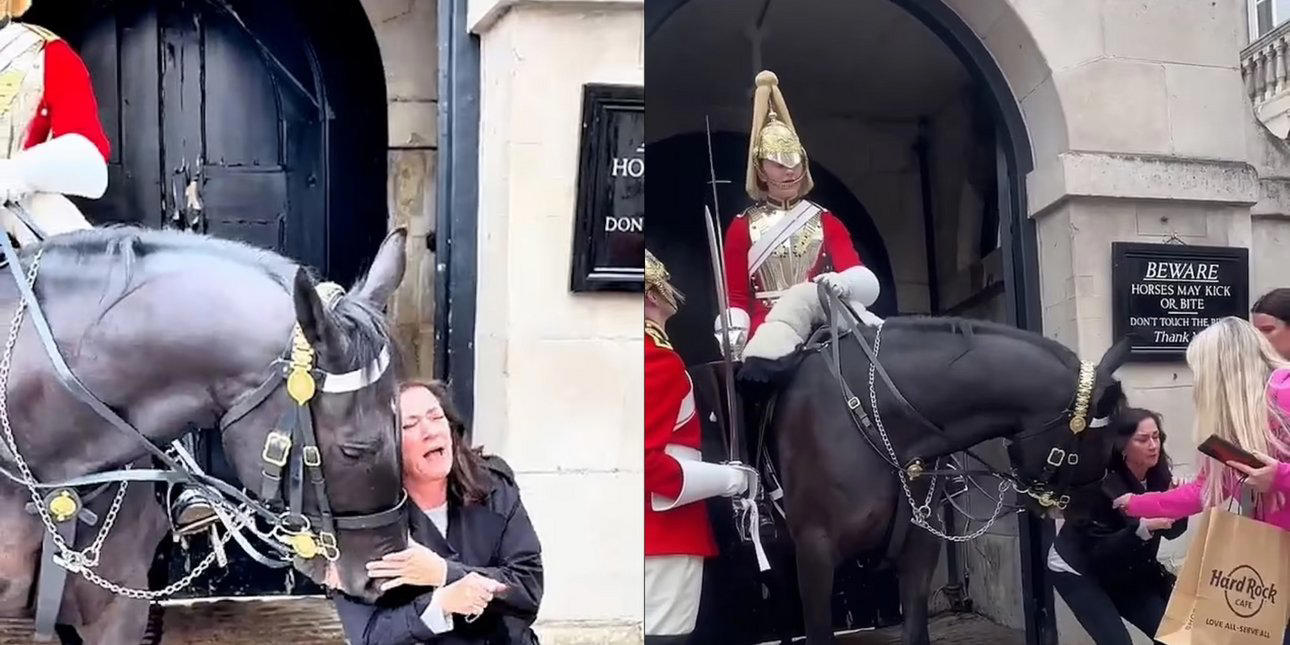 λονδίνο: άλογο του βασιλιά δάγκωσε τουρίστρια και δεν την άφηνε, απαθής ο φρουρός -viral το βίντεο