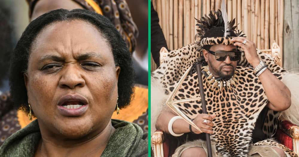 thoko didiza's statements about the ingonyama trust didn't go down well