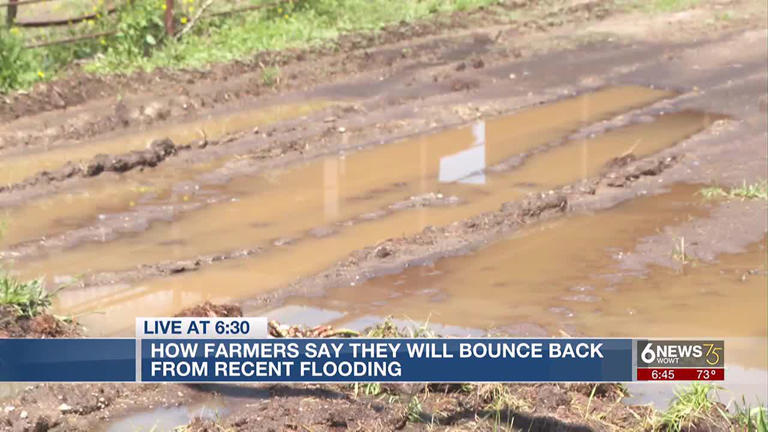 Omaha area farmers see labor loss after severe flooding