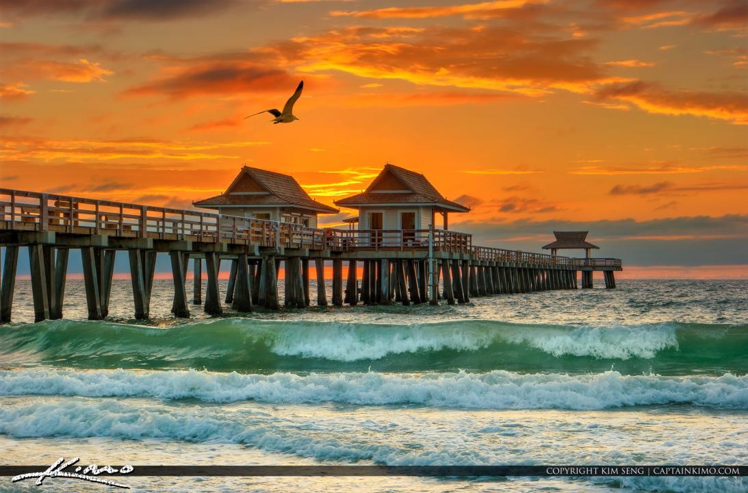 The 30 things everyone should do at least once in Florida, according to ...