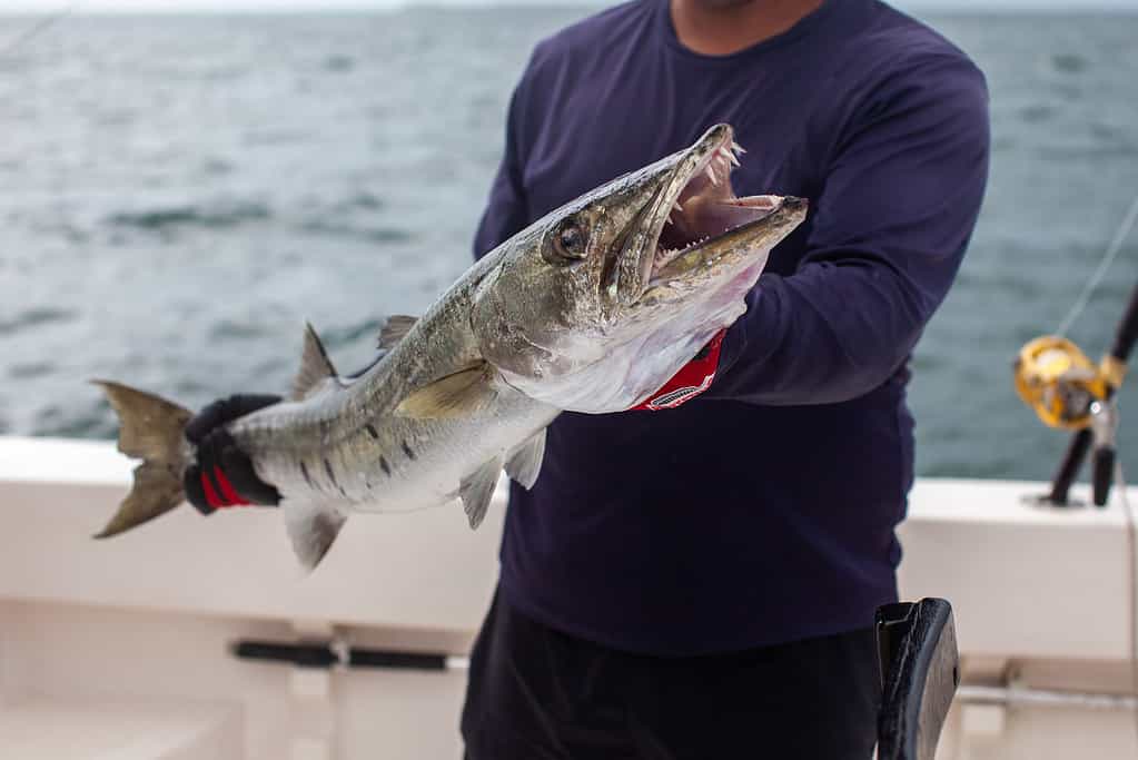 The 12 Best Fishing Lakes in Oregon