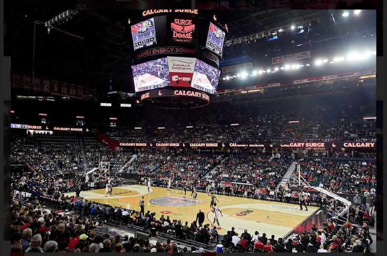 Hockey town? Calgary Surge set basketball league attendance record at ...