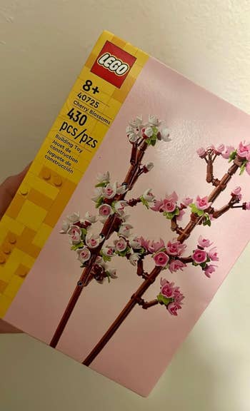 Hand holding LEGO flower bouquet set box