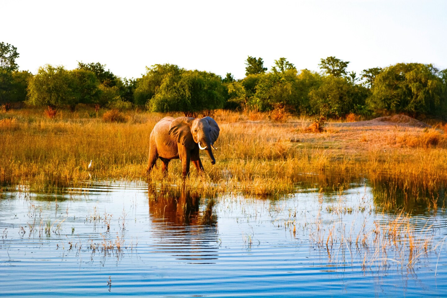 <a>Combine a relaxing lake cruise with incredible wildlife viewing on Lake Kariba on the border of Zambia and Zimbabwe.</a>