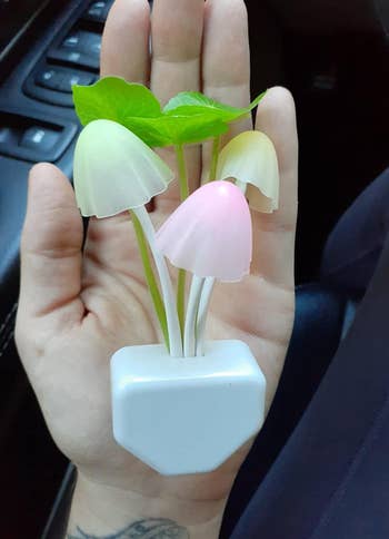 Reviewer holding white plug with pastel mushrooms and leaves blooming out of it