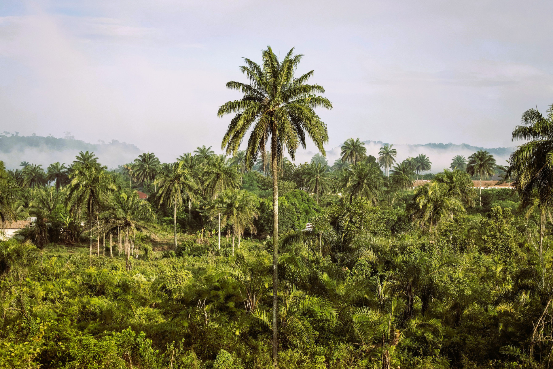 The wettest and driest countries in the world