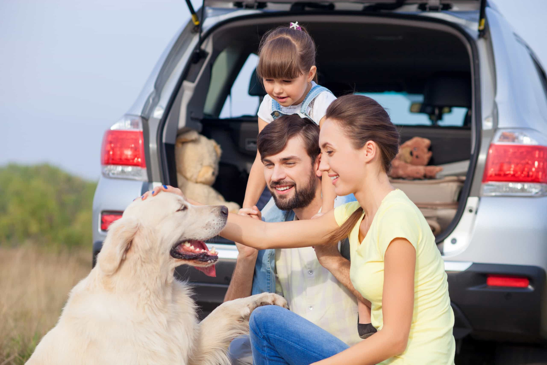 <p>Still want to travel with your dog, but unable to pay for the expensive tickets? You can still travel by car and have a rewarding experience. Click on and find out what steps to take before embarking on your journey by car, as well as essential items to pack and activities to do during the trip. </p><p>You may also like:<a href="https://www.starsinsider.com/n/252119?utm_source=msn.com&utm_medium=display&utm_campaign=referral_description&utm_content=719768en-us"> Famous celebrities you didn't know were related</a></p>