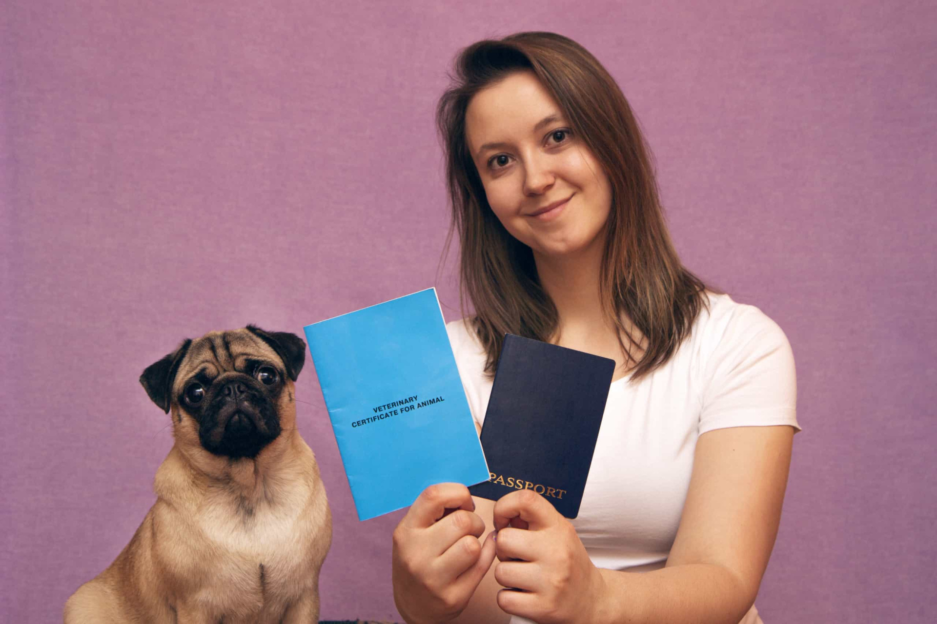 <p>You should organize all your dog’s documents and bring them with you. These include medical records, microchip number, and even a pet passport in some parts of the world.</p><p>You may also like:<a href="https://www.starsinsider.com/n/292397?utm_source=msn.com&utm_medium=display&utm_campaign=referral_description&utm_content=719768en-us"> Dramatic Aussie celebrity break-ups</a></p>