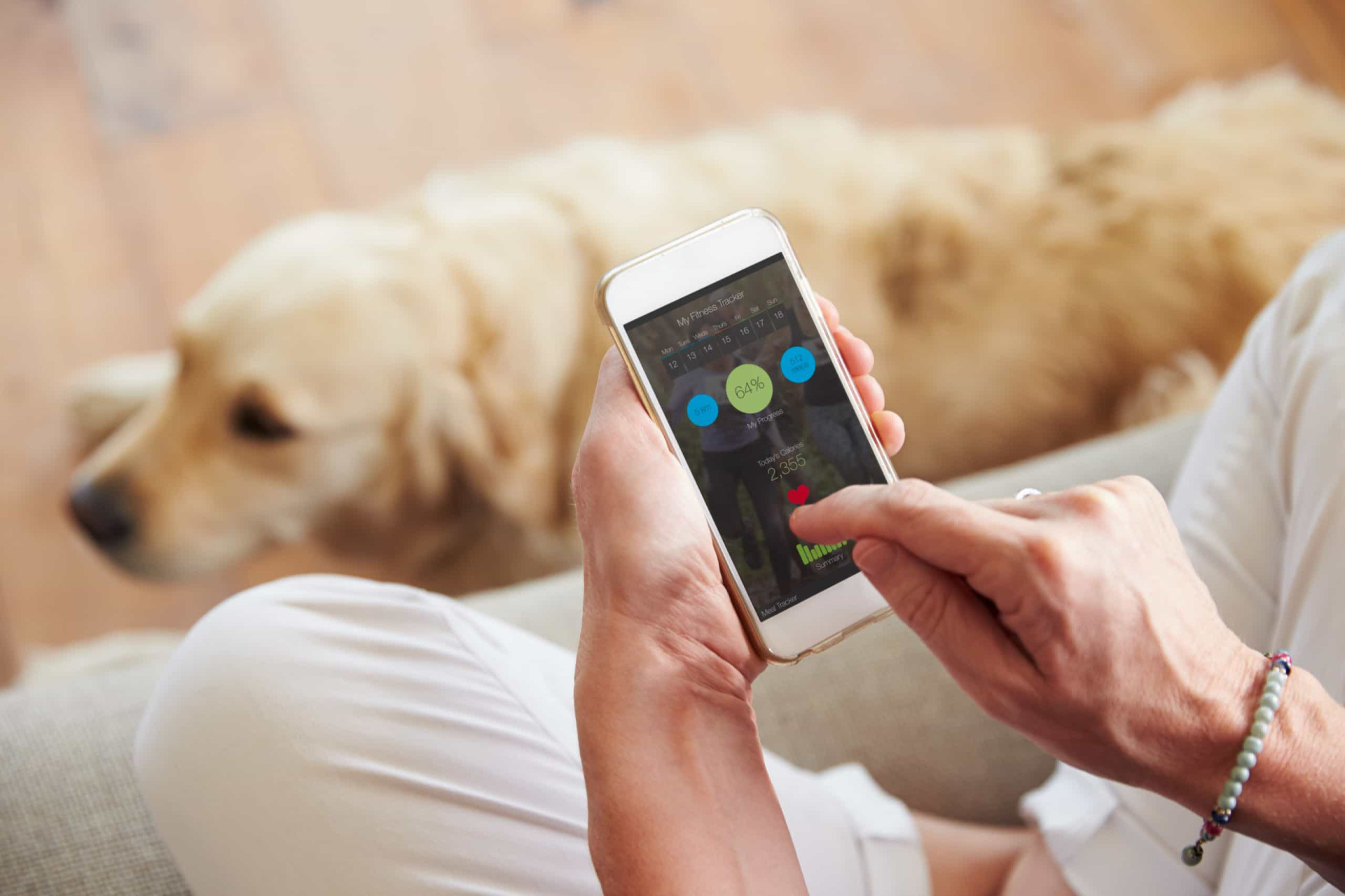 <p>Depending where you are in the world, there are apps out there that allow you to look for dog-friendly hotels, restaurants, and stores.</p><p>You may also like:<a href="https://www.starsinsider.com/n/312234?utm_source=msn.com&utm_medium=display&utm_campaign=referral_description&utm_content=719768en-us"> Famous scenes you didn't know were improvised</a></p>
