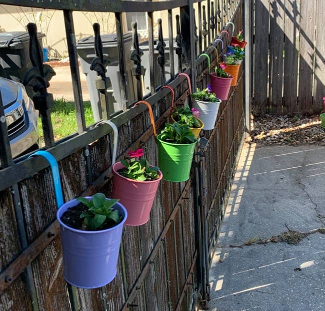 A row of colorful potted plants hanging on a fence, illustrating garden decor ideas for small spaces