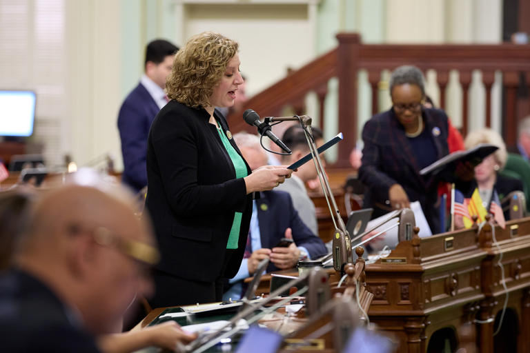 Assemblymember Pilar Schiavo addresses lawmakers during the floor session at the state Capitol in Sacramento on May 16, 2024. Photo by Fred Greaves for CalMatters