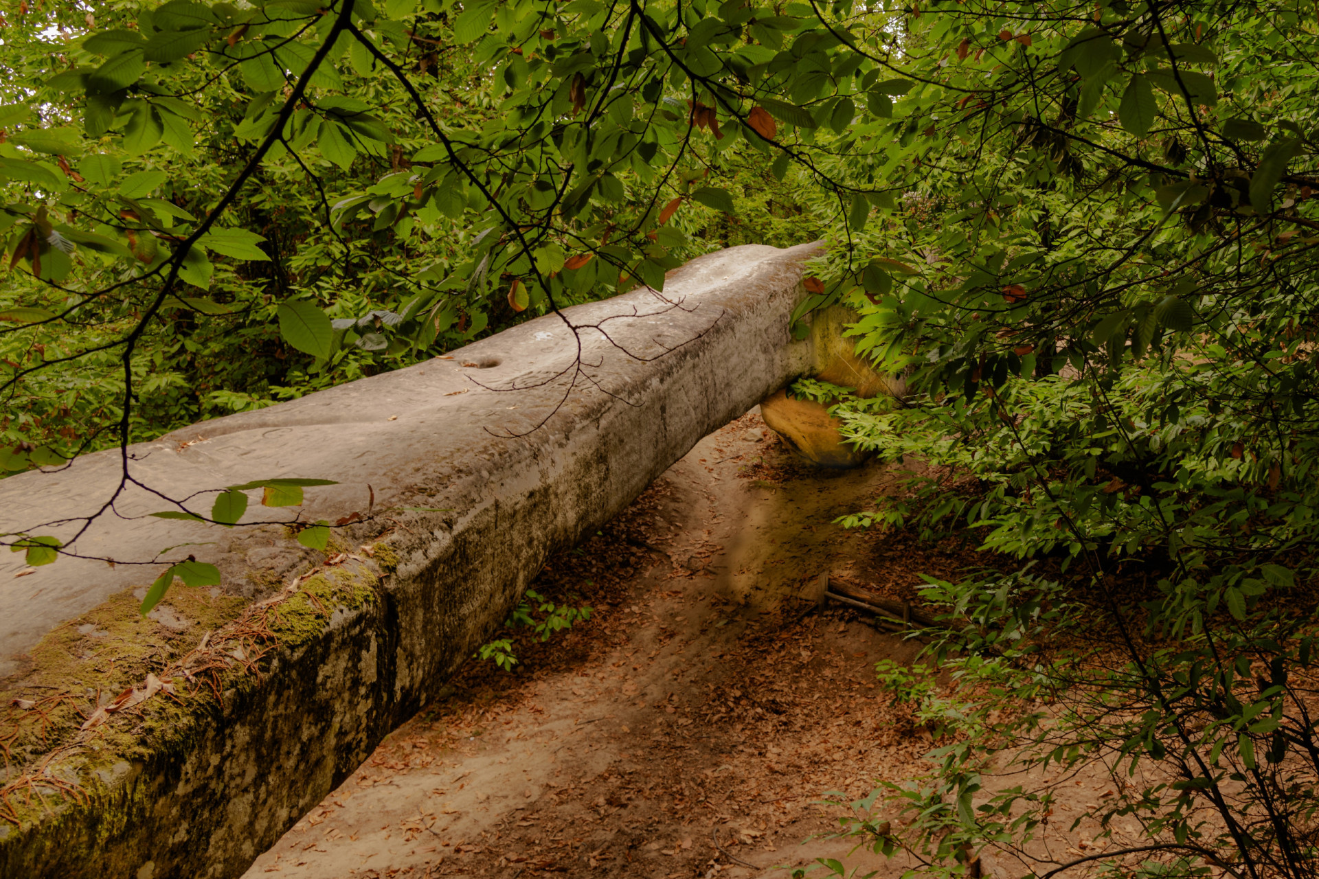 Europe's 'Devil Bridges': do you dare crossing them?