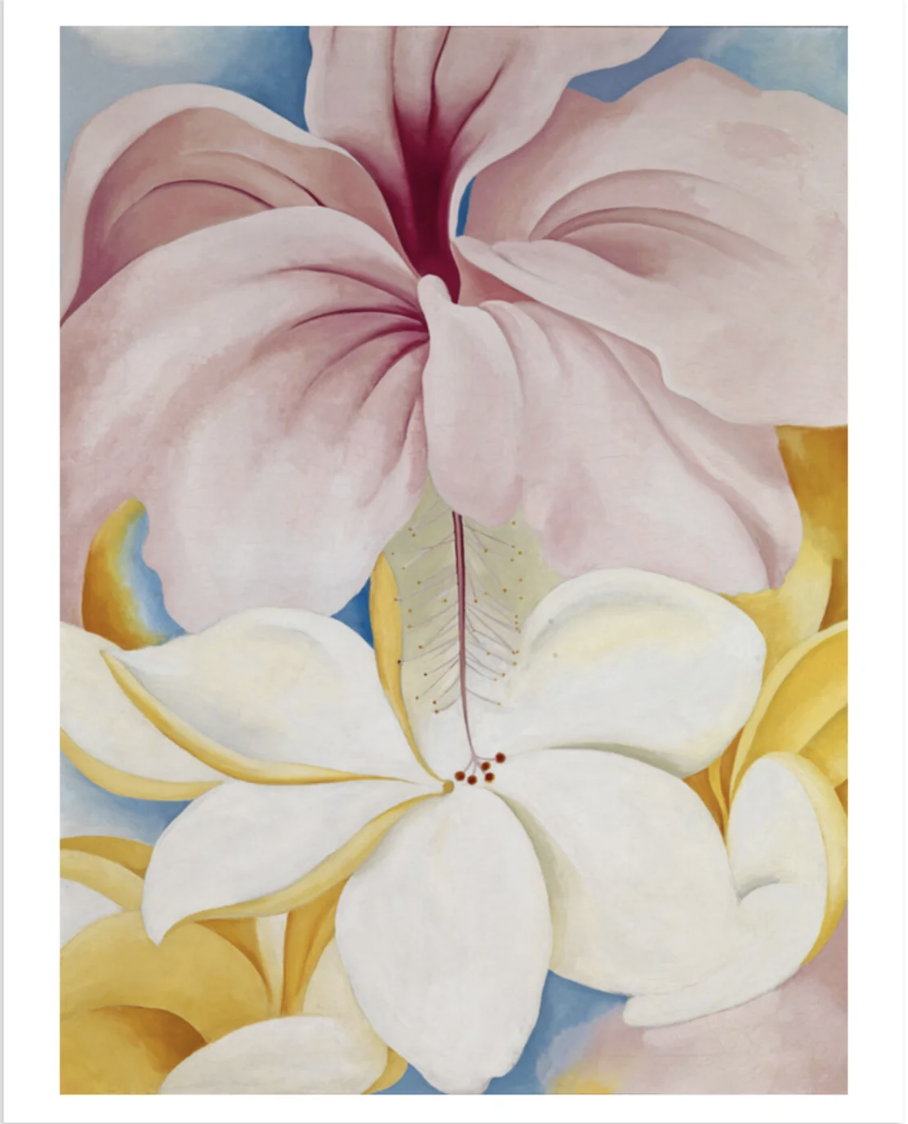 <p><a class="body-btn-link" href="https://shop.brooklynmuseum.org/products/hibiscus-with-plumeria-print-by-georgia-o-keeffe">Shop Now</a></p><p>$69, <em>Hibiscus with Plumeria, </em>Georgia O'Keefe</p><p>The Brooklyn Museum has one of the most impressive gift shops in the city, and its online curation is just as impressive. </p>