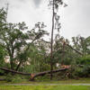 Storms pummel northern Florida; woman killed in Tallahassee: Weather updates<br>