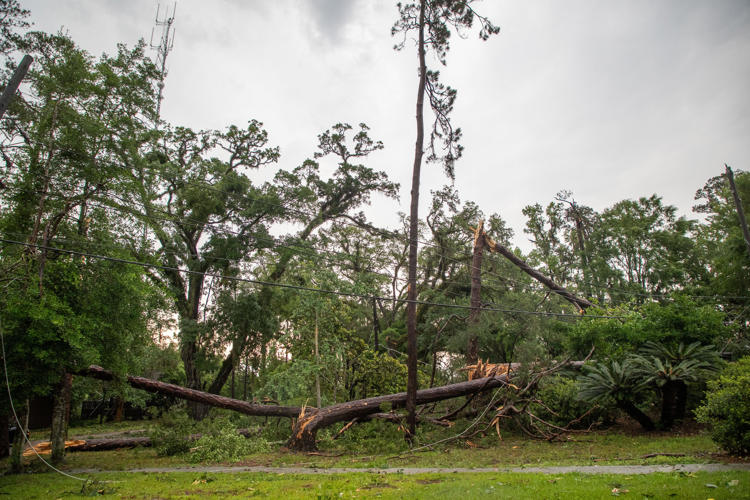 Storms pummel northern Florida; widespread damage in Tallahassee: Weather updates