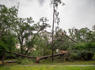 Storms pummel northern Florida; woman killed in Tallahassee: Weather updates<br><br>