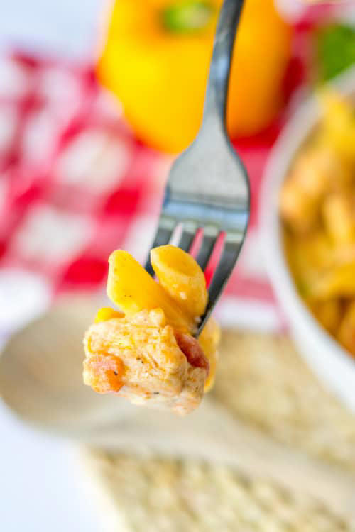 Crock Pot Cajun Chicken Alfredo