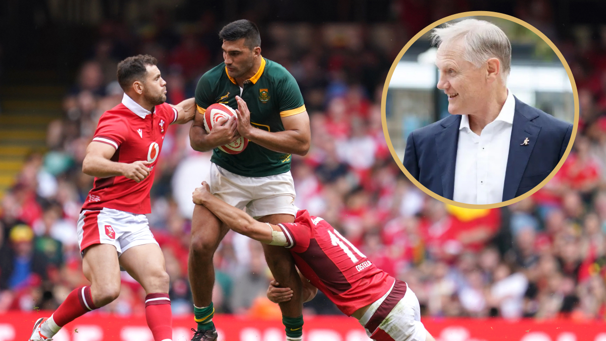 joe schmidt: springboks have ‘real talent’ outside of traditional strengths