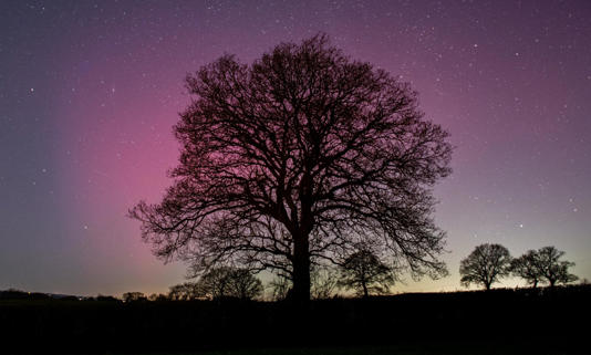 The combination of enhanced activity from the sun reaching Earth and clear skies would improve the chances of seeing the aurora display in the UK. Photograph: UK Met Office