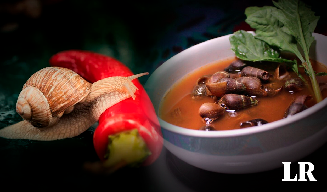 este caldo a base de caracoles te dará una dieta baja en calorías: es un plato típico en país de latinoamérica