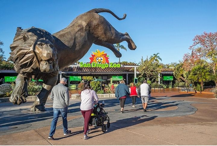 <p>The San Diego Zoo has over 3000 animals representing more than 650 species. You and the family can learn about diverse habitats, participate in interactive exhibits, and see animal encounters that delight visitors of all ages.</p>