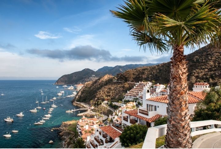 <p>Take a ferry to Catalina Island for a day of island adventure and relaxation. Journey through scenic hiking trails, snorkel in crystal-clear waters or enjoy a glass-bottom boat tour to glimpse the island’s vibrant marine life.</p>